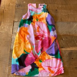 Ralph Lauren multicolor size 2P dress